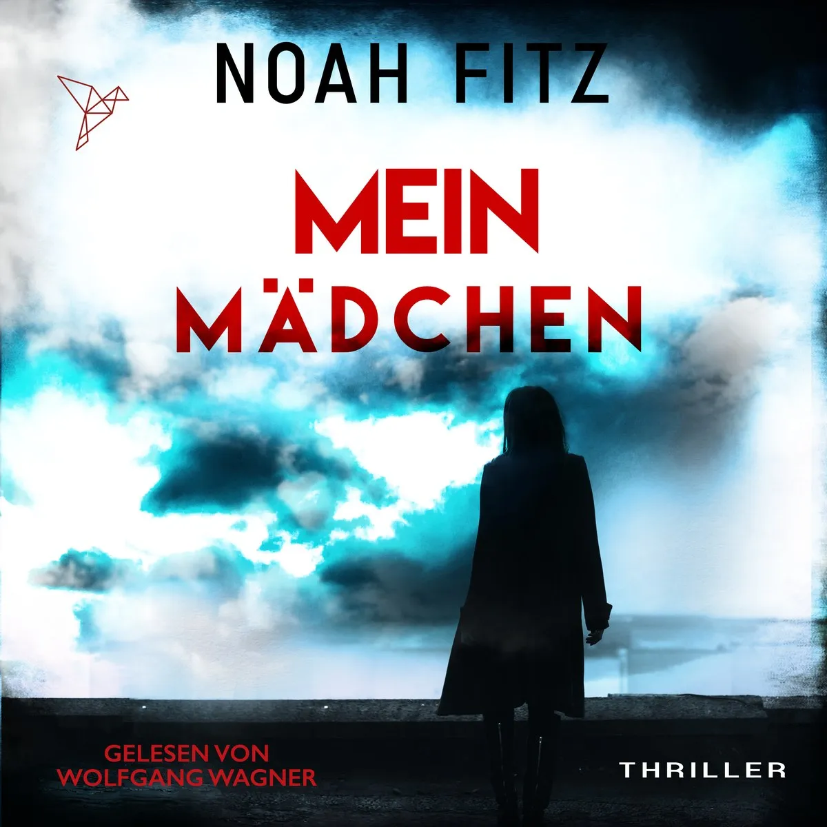 Cover von "Mein Mädchen" von Noah Fitz