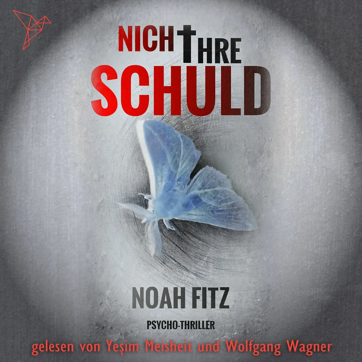 Cover: Nicht ihre Schuld von Noah Fitz