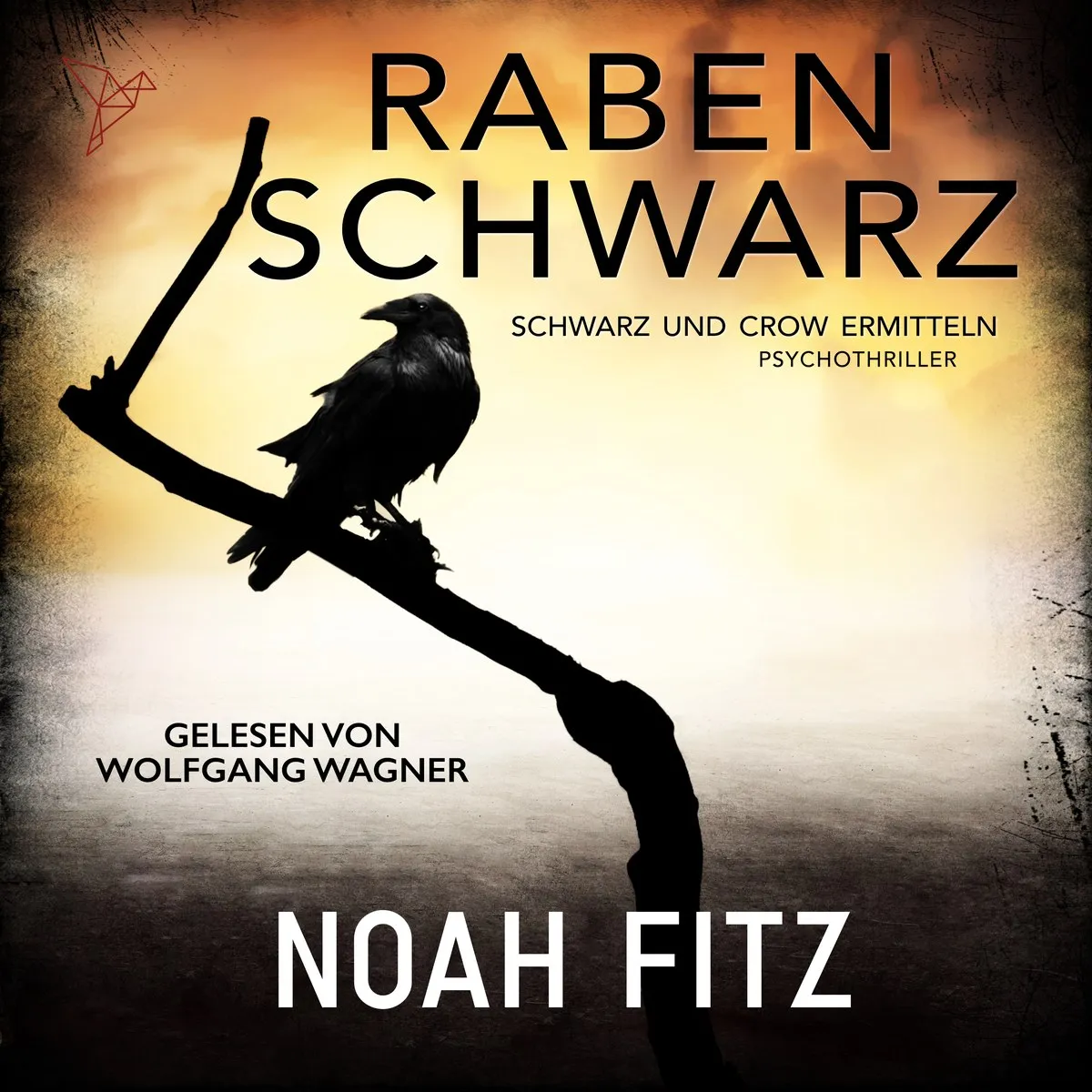 Cover: Rabenschwarz von Noah Fitz