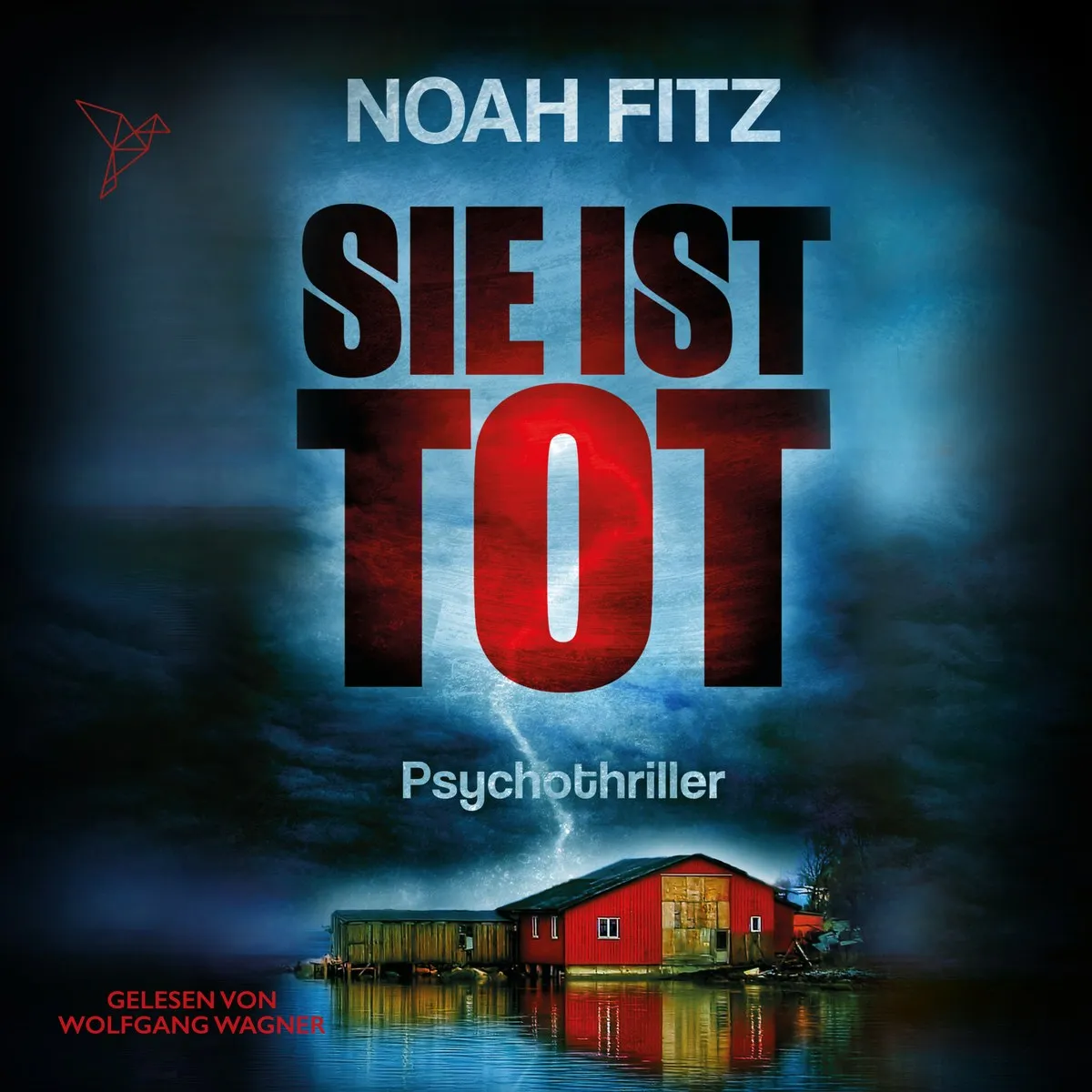 Cover von "Sie ist tot" von Noah Fitz