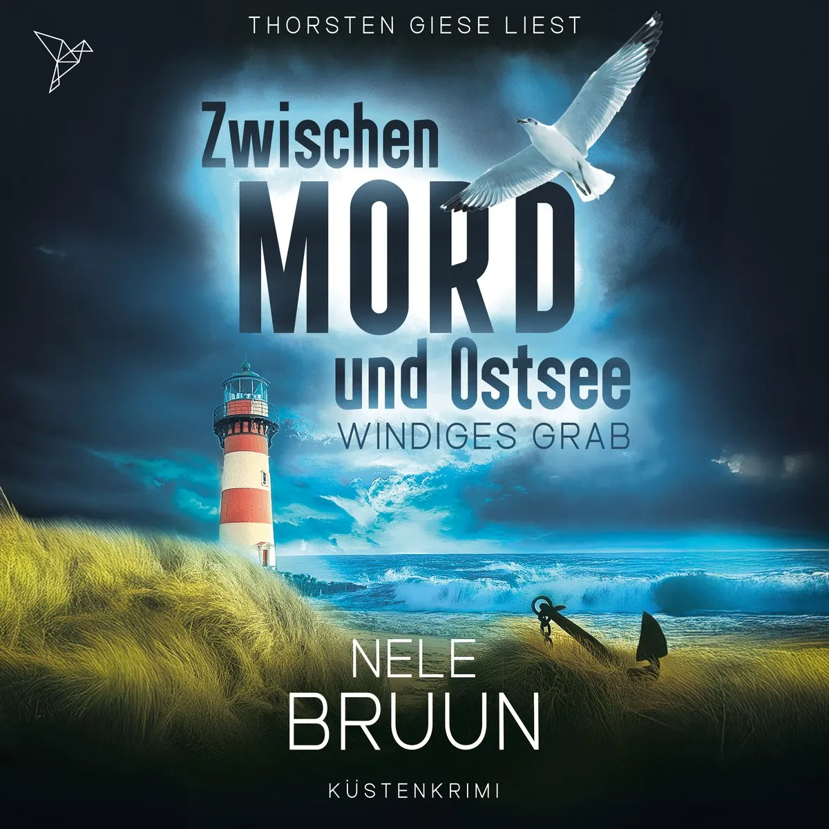 Cover: Windiges Grab von Nele Bruun
