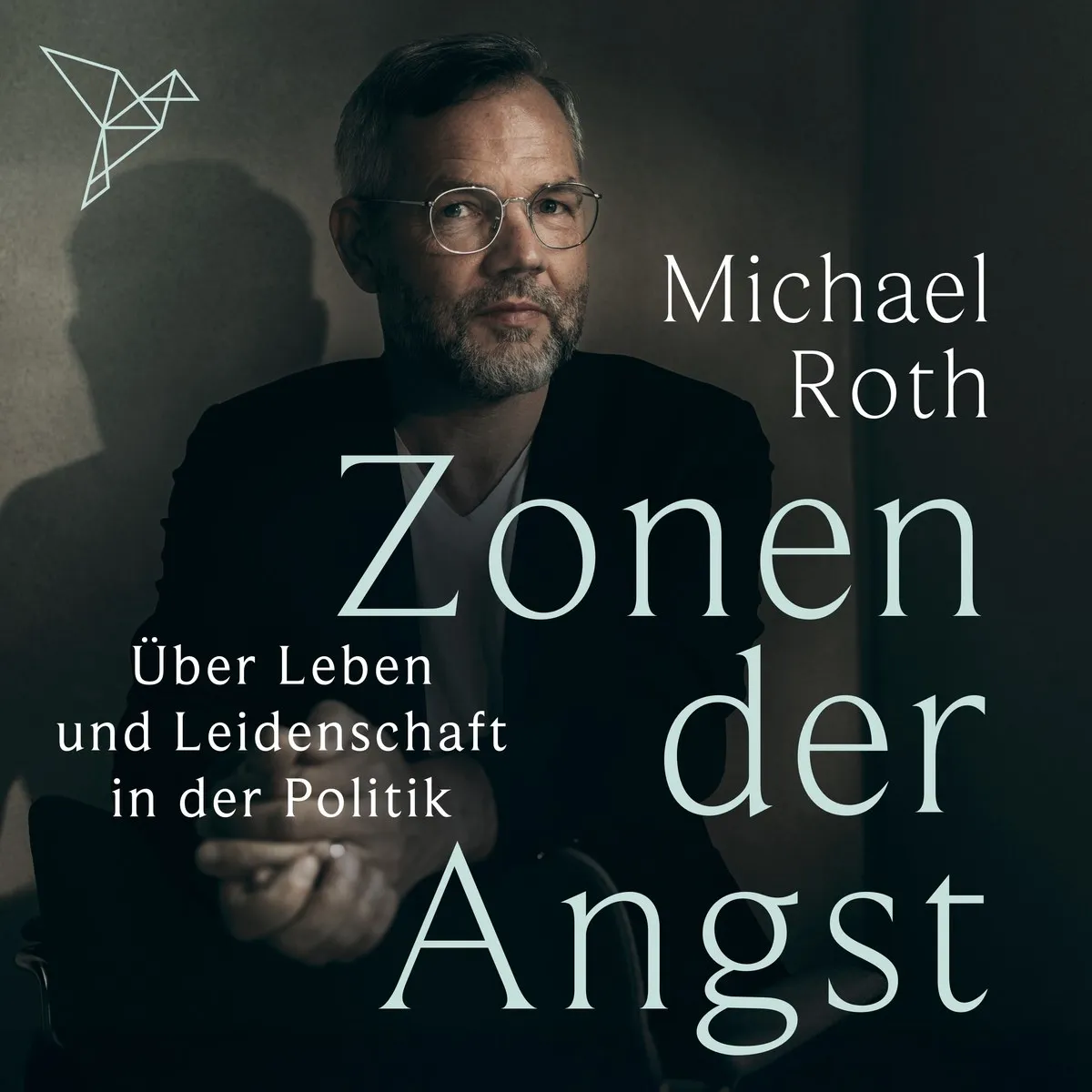 Cover: Zonen der Angst von Michael Roth